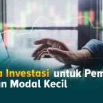 Cara Memulai Investasi Dengan Modal Kecil Membangun Kekayaan Sejak Dini